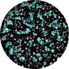 HCMV Human cytomegalovirus, unstained Icon