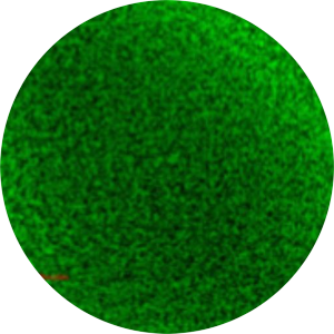 Application NK92 cells natural killer cells (human cell line) expressing green fluorescent protein (gfp)